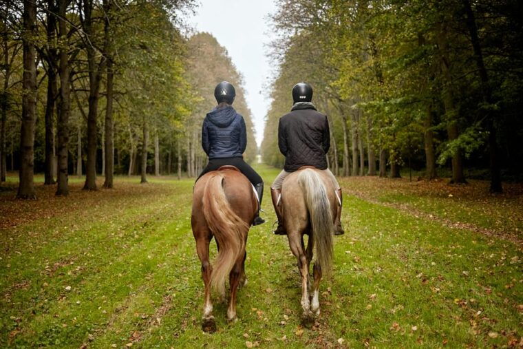 Versailles: Horse-riding, Gastronomy & Château - Gastronomic Delight: Lunch With a Michelin Star Chef