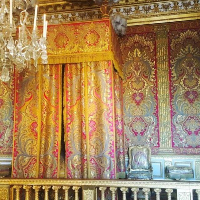 Versailles Palace Skip The Line Access Half Day Private Tour - Experience