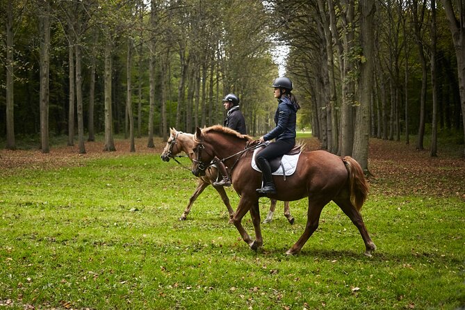 Versailles Private Tour : Horse-riding, Gastronomy & the Palace - Questions and Information