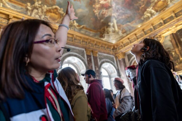 Versailles: Private Tour of the Palace With Reserved Entry - Accessibility Options and Restrictions