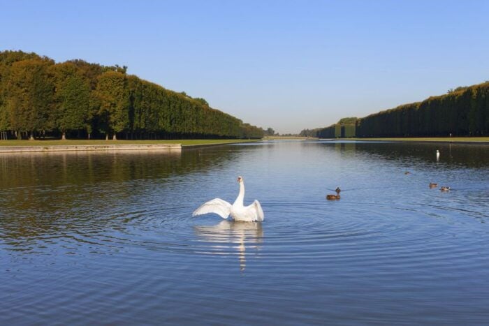 Versailles: Skip-The-Line Guided Tour of Palace With Gardens - Uncover the Secrets of French Royalty
