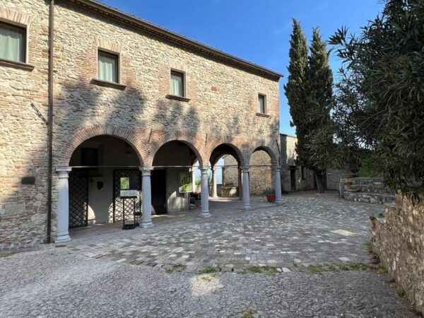 Verucchio: Entrance Ticket to the Archaeological Museum - The Sum Up