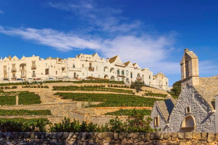 Vespa scenic tour: Trulli and Countryside with tastings in Itria Valley - Final Thoughts: Is It Worth It?