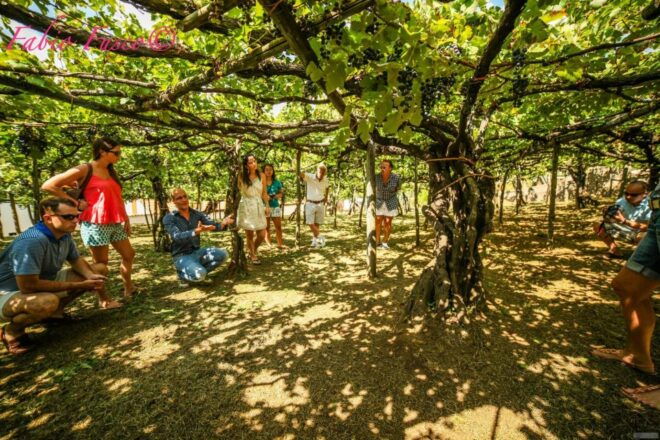 Vespa Tour: Two Romantic and Enchanting Routes in the Saddle - The Sum Up