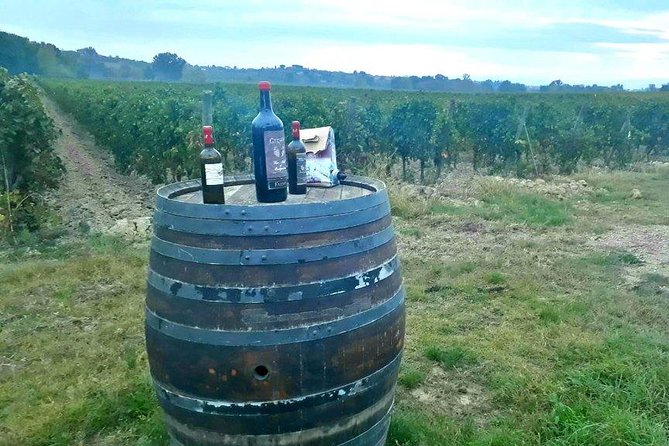 Vespa Tour With Lunch&Chianti Winery From Siena - Explore the Hills of Tuscany
