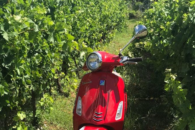 Vespa Tour With Lunch&Chianti Winery From Siena - Visit a Chianti Winery for Lunch and Wine Tasting