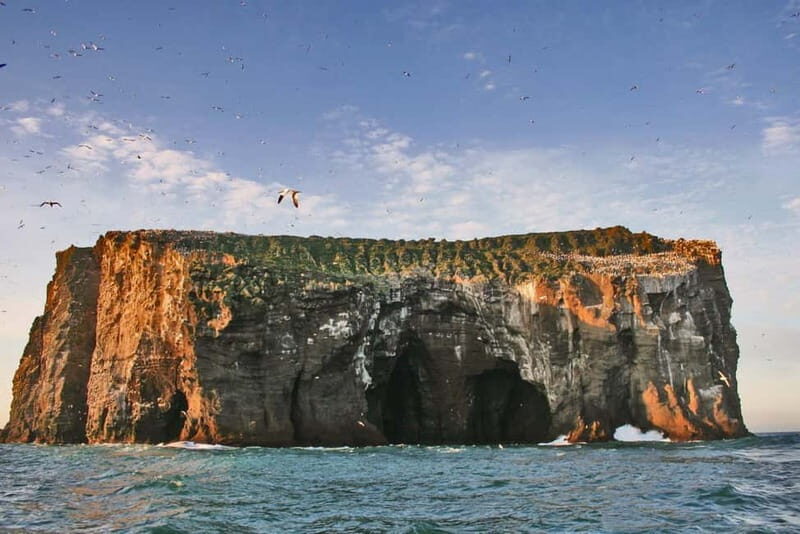 Vestmannaeyjar: 2 hour RIB boat Tour - Good To Know