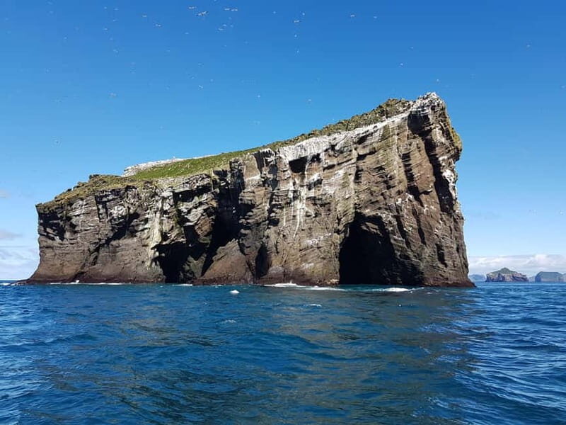 Vestmannaeyjar: 2 hour RIB boat Tour - The True Value of This Experience
