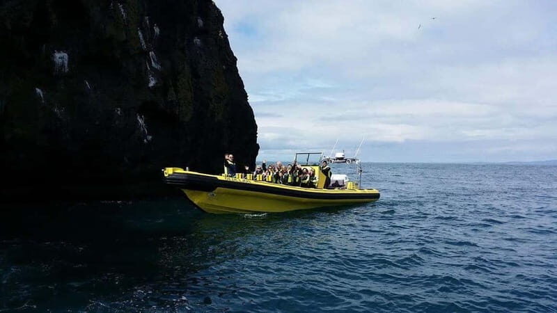Vestmannaeyjar: 2 hour RIB boat Tour - Final Thoughts