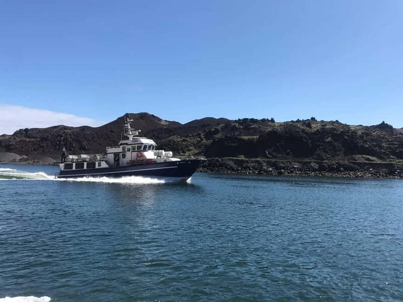 Vestmannaeyjar: Heimaey Island Round Boat Tour - FAQ