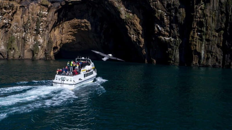 Vestmannaeyjar: Puffin, Island, and Volcano Boat Tour - Starting Point and Logistics
