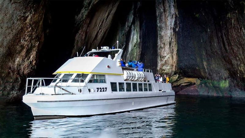 Vestmannaeyjar: Puffin, Island, and Volcano Boat Tour - The Value and Pricing