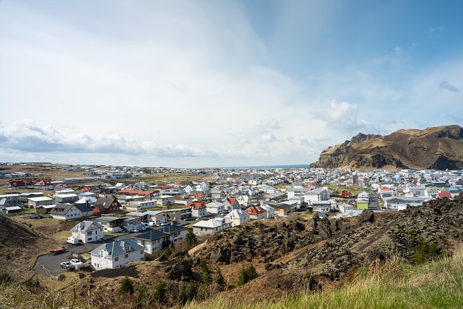 Vestmannaeyjar, Puffins & Volcanoes Small Group Day Tour - Good To Know