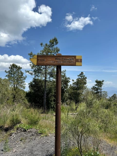 Vesuvio Bike Tour: Summit Ride and Entrance Ticket - Frequently Asked Questions