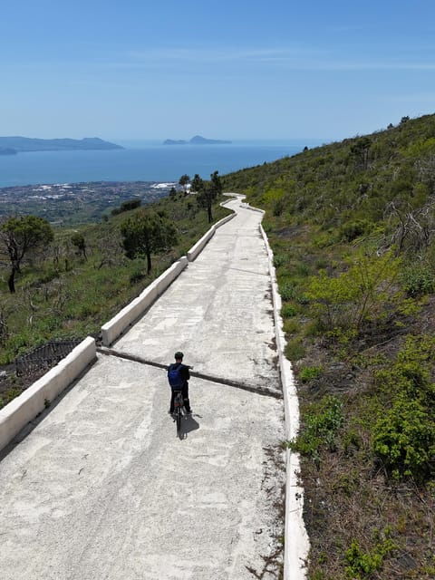 Vesuvio Bike Tour: Summit Ride, Ticket & Tasting Experience - Detailed Itinerary