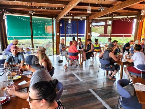 Vesuvio, Cantina Del Vesuvio Tour - The Sum Up