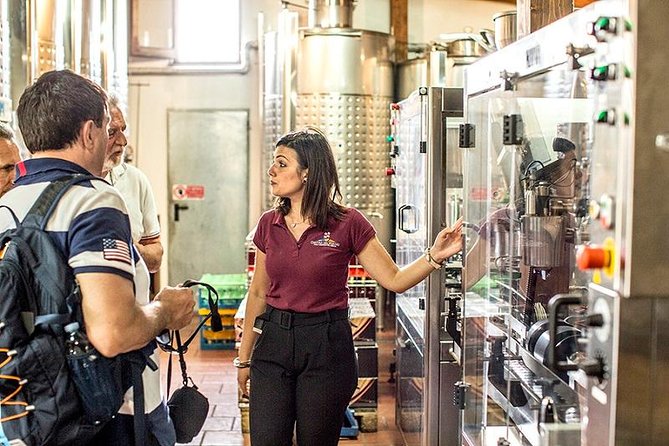 Vesuvio Guided Tour, Wine Tasting & Lunch + Transfer From Naples - Additional Information