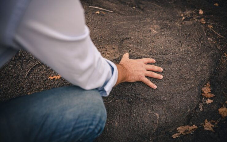Vesuvio National Park: Wine Tasting & Tour With Light Lunch - Experience Highlights