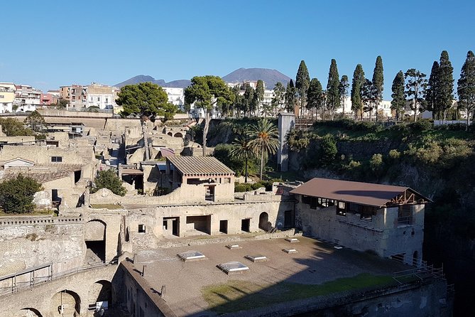 Vesuvius and Herculaneum Day Trip From Naples With Skip the Line - The Sum Up