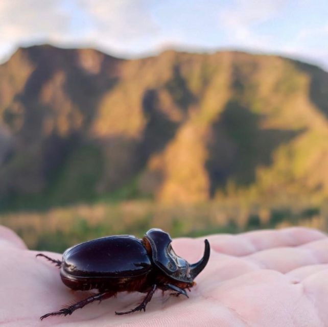 Vesuvius by Night - the ORIGINAL - Nighttime Exploration of Vesuvius