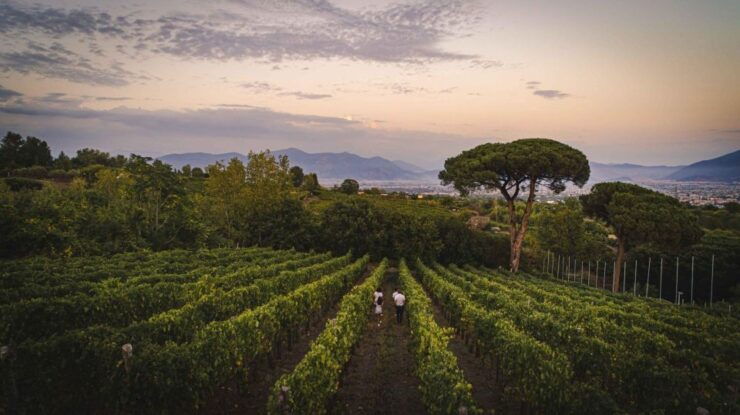 Vesuvius: Cooking Class on the Slopes of Vesuvius - Activity Details