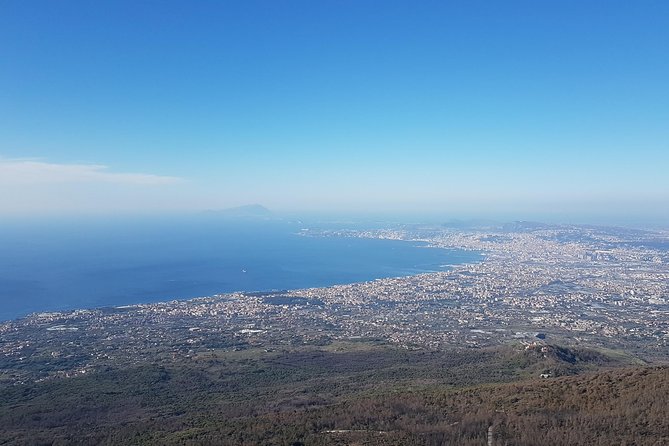 Vesuvius: Half Day Trip From Naples - Overview and Tour Details