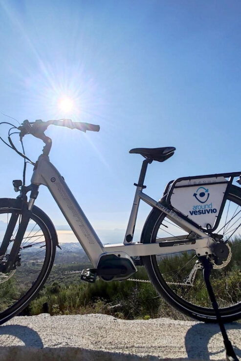 Vesuvius National Park Bike Tour - Booking Information