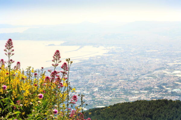 Vesuvius National Park: Skip-The-Line Ticket and Audio Guide - Important Contact and Refund Information
