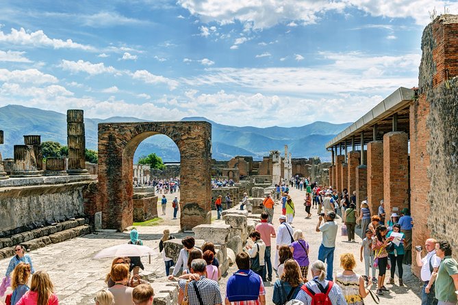 Vesuvius, Pompeii (Private Guide),Vineyards and Winery Tour, Lunch Wine Taste . - The Sum Up