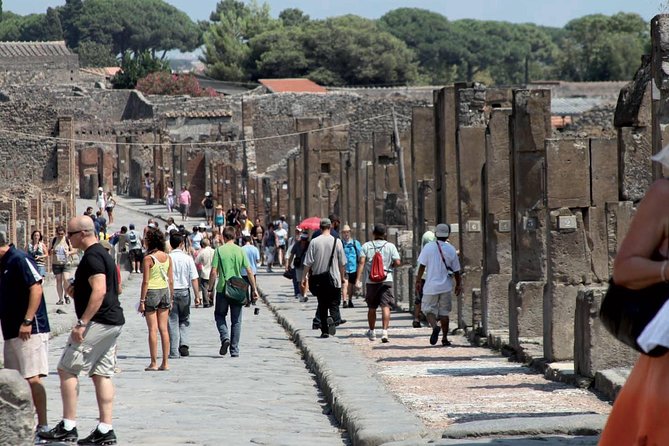 Vesuvius Pompeii Sorrento Tour - Transportation and Pickup Information