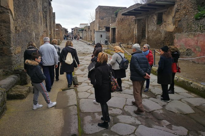 Vesuvius, Pompeii & Vesuvius Winery Shore Excursion - Pricing and Booking