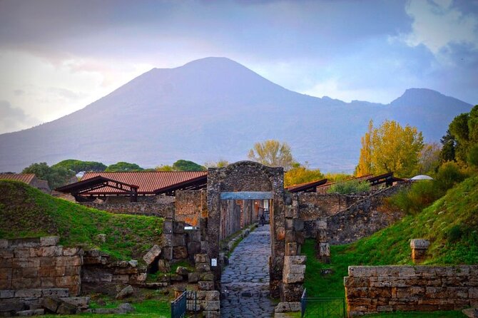 Vesuvius Tour From Naples With Lunch - Inclusions and Exclusions