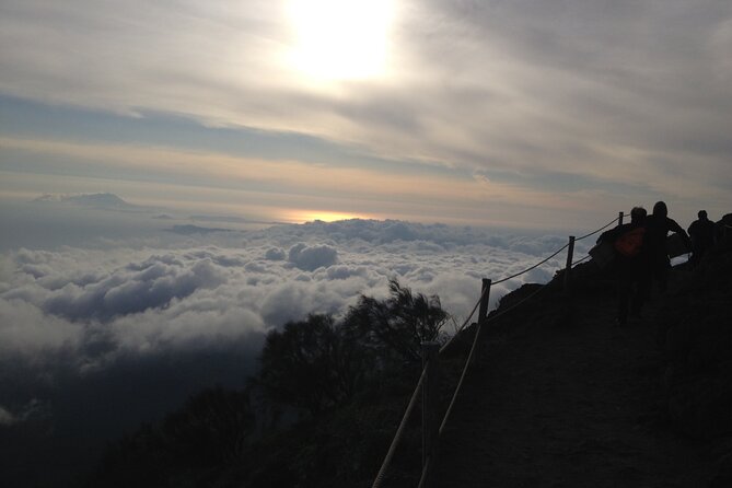 Vesuvius, V.I.P. the Only Tour With Volcanological Guide - Transparent Pricing Policy and Benefits