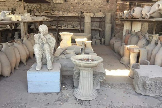 Vesuvius Vineyard Pompeii - Unique Wine Tasting Experience