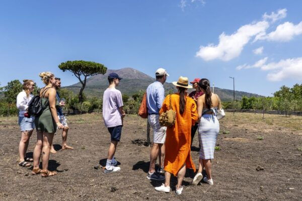 Vesuvius Vineyards Tour With Wine Tasting and Lunch - Frequently Asked Questions