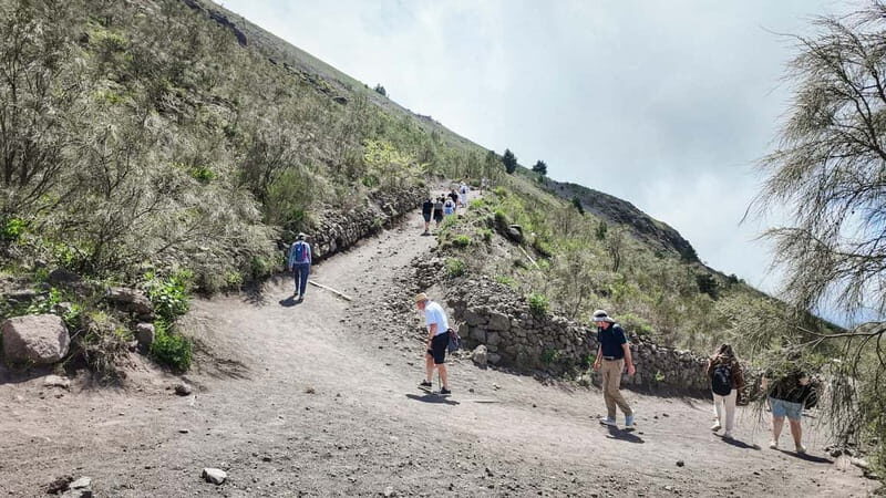 Vesuvius Volcano Experience: from Naples, Pompeii and Rome - Considerations and Possible Drawbacks