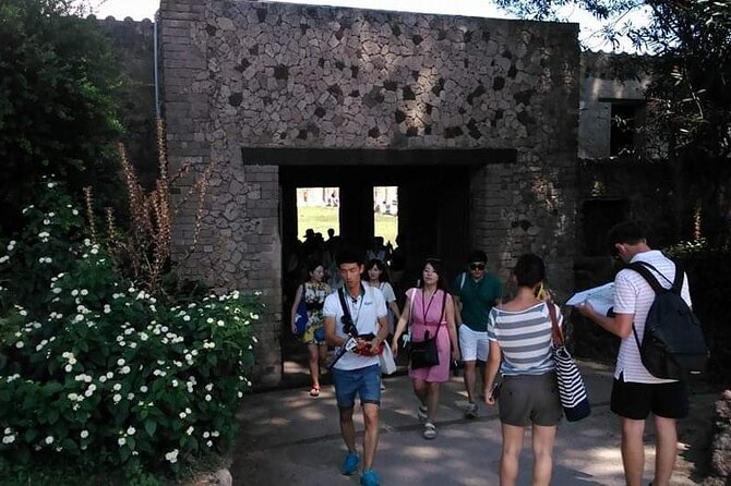 Vesuvius Wine Tasting and Lunch and Pompeii Full Day Private Tour - Good To Know