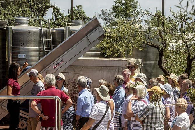 Vesuvius Wine Tasting Tour From Naples With Lunch - Tour Inclusions
