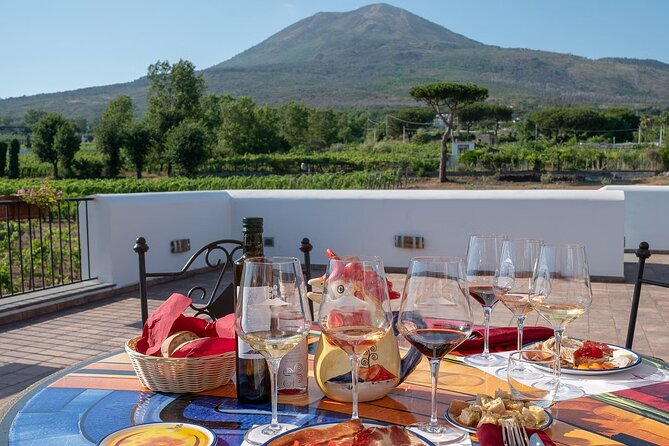 Vesuvius Wine Tasting Tour With Lunch Included - Reviews and Feedback
