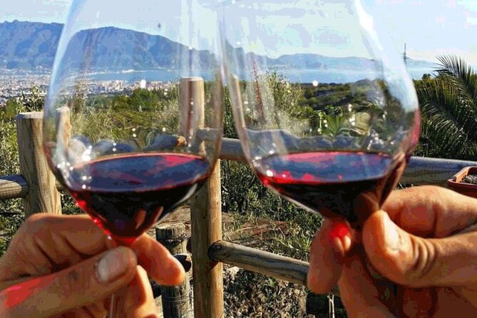 Vesuvius With Wine Tasting and Lunch Included From Naples - Experience Details