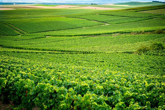 Veuve Clicquot Tour From Paris - Pricing and Booking Information