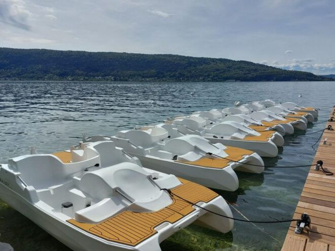 Veyrier-du-Lac: Pedal Boat Rental - Language and Group Type