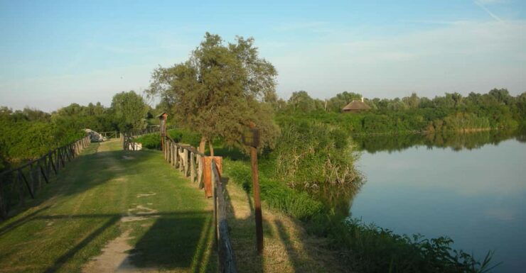 Via Adriatica Bike Tour - Good To Know