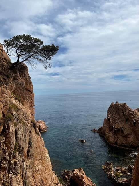 Via Ferrata Adventure in Costa Brava + Transport - An In-Depth Look at the Via Ferrata Experience