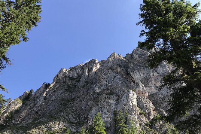 Via Ferrata Tour Near Red Lake (Lacu Rosu) - What to Expect
