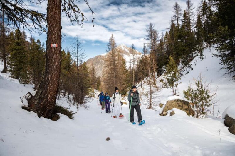 Vialattea: Snowshoeing in the Snowy Forest - What Makes This Tour Stand Out