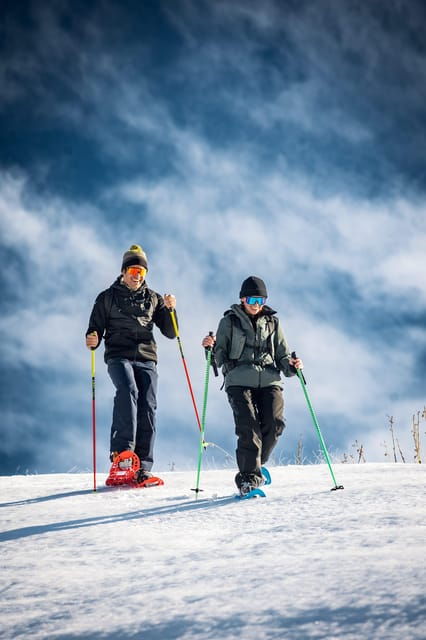 Vialattea: Snowshoeing in the Snowy Forest - Good To Know
