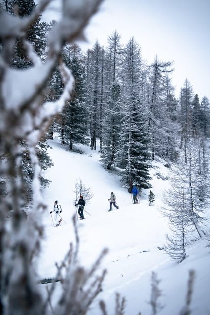 Vialattea: Snowshoeing in the Snowy Forest - The Majestic Black Lake