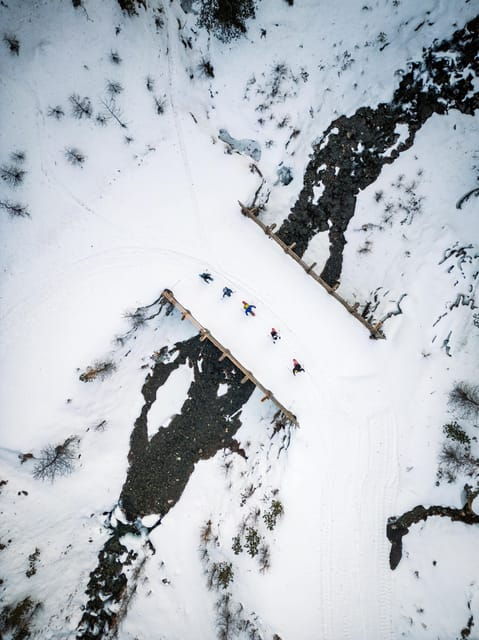 Vialattea: Snowshoeing in the Snowy Forest - Planning Your Snowshoeing Excursion