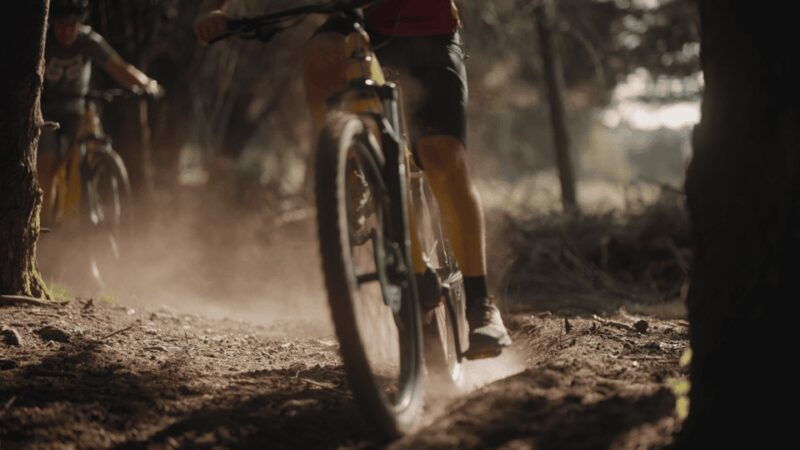 Viana do Castelo: e-mountain bike rental for adventures in nature and culture - Discovering Viana do Castelo on an E-Mountain Bike